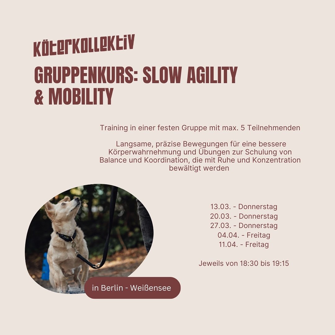 Viele Hunde bewegen sich unbewusst, hastig oder unkontrolliert durch ihre Umwelt. Besonders unsichere, nerv&ouml;se, aber auch sehr impulsive und schnelle Hunde profitieren davon, wenn sie lernen, ihren K&ouml;rper besser wahrzunehmen und gezielt ein